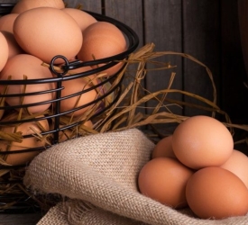 Tìm Hiểu Về Các Tính Năng Nổi Bật Của Máy Ấp Trứng Hoàng Phương