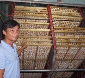 Máy Ấp Trứng Gà Tự Động Đảo - Công Nghệ Vượt Trội - Tỉ Lệ Nở Cao Máy Ấp Trứng Gà Tự Động Đảo - Công Nghệ Vượt Trội - Tỉ Lệ Nở Cao
