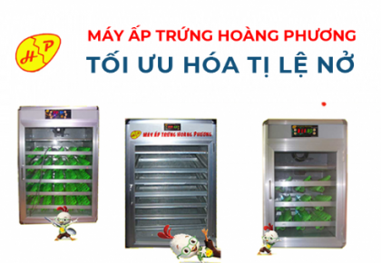 Mua máy ấp trứng giá tốt tại Hoàng Phương