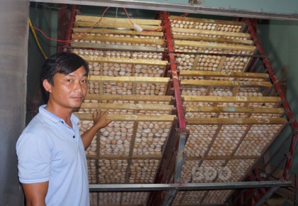 Máy Ấp Trứng Gà Tự Động Đảo - Công Nghệ Vượt Trội - Tỉ Lệ Nở Cao
